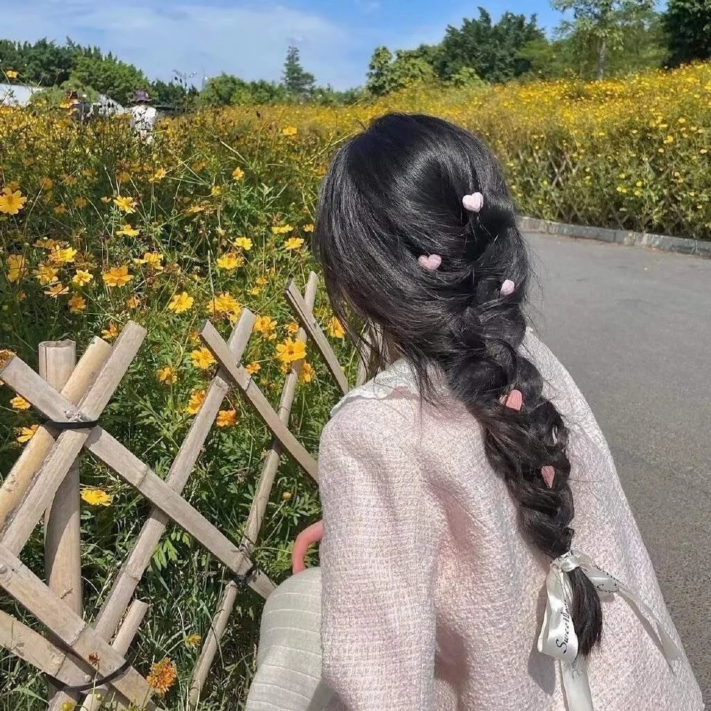 侠盗正传